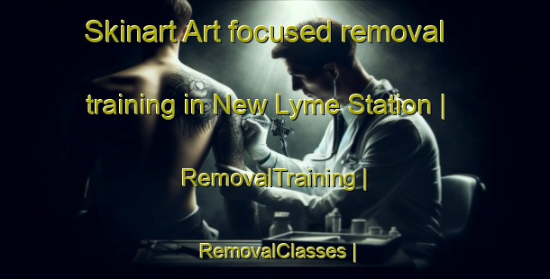 Skinart Art-focused removal training in New Lyme Station | RemovalTraining | RemovalClasses | SkinartTraining-United States